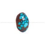 نگین فیروزه شجری کد 6160