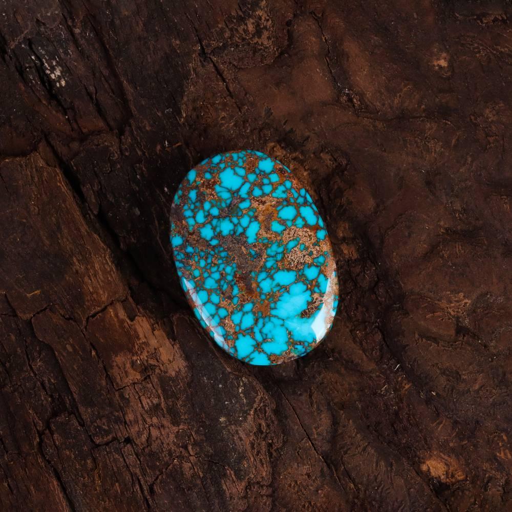 نگین فیروزه شجری کد 6569