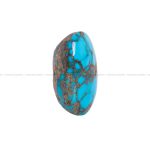 نگین فیروزه شجری کد 6443