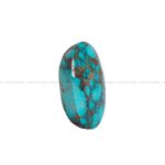 نگین فیروزه شجری کد 6438