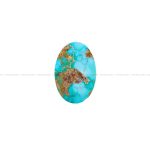 نگین فیروزه شجری کد 7681