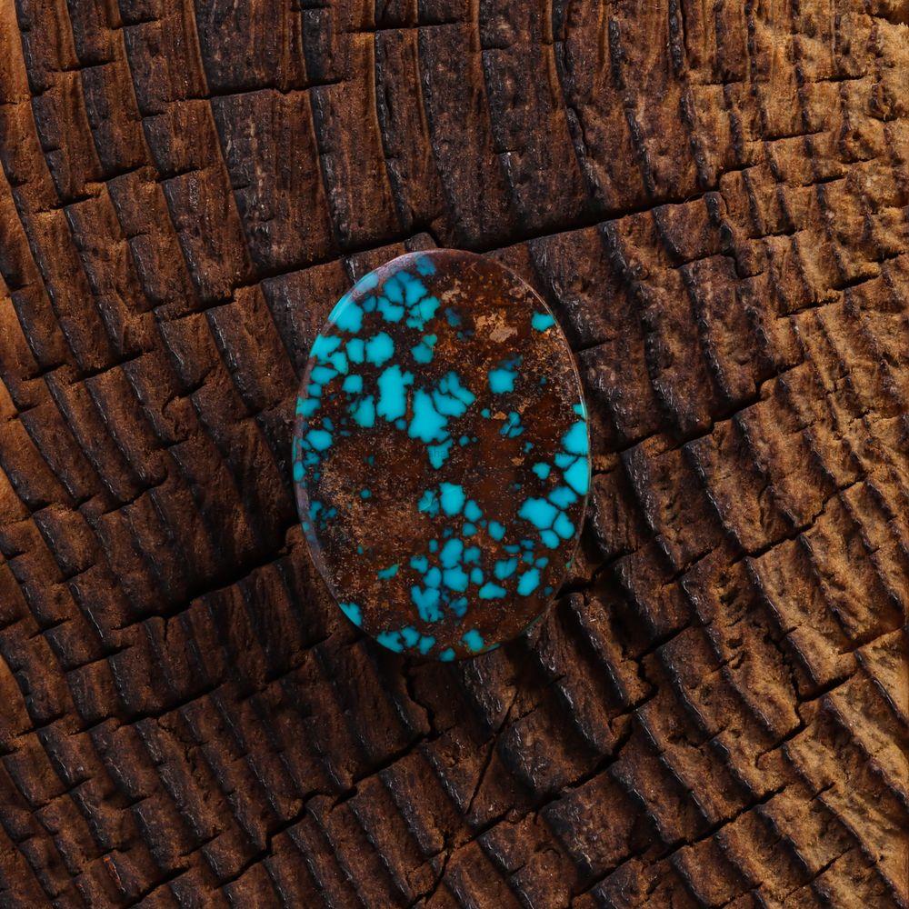 نگین فیروزه شجری کد 7729