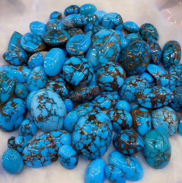 عکس فیروزه زنده