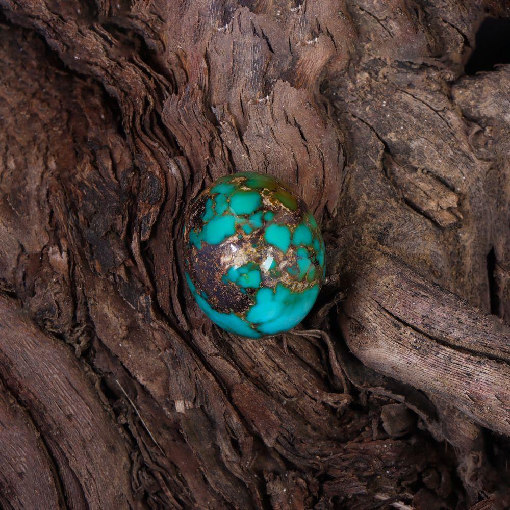 نگین فیروزه شجری کد 10737