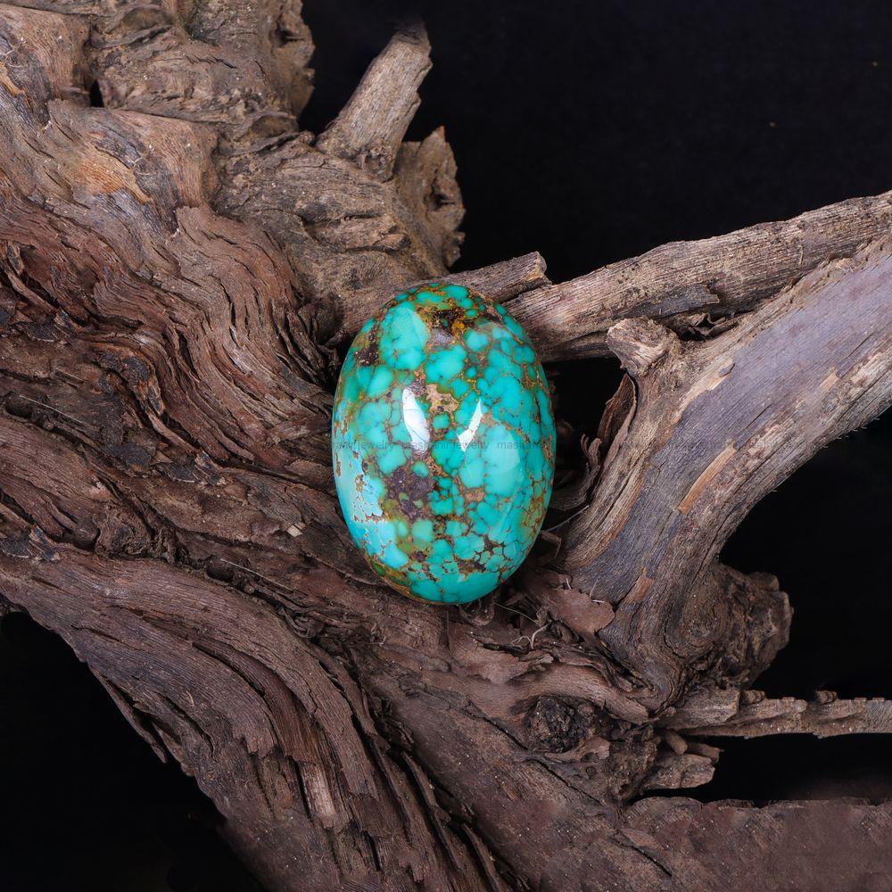 نگین فیروزه شجری کد 10744