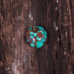 نگین فیروزه شجری کد 10763