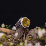 انگشتر سیترین مردانه کد 10515