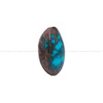 نگین فیروزه شجری کد 11605