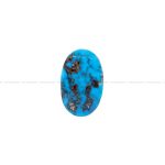 نگین فیروزه شجری کد 11524