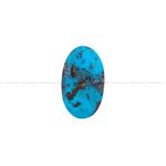 نگین فیروزه شجری کد 11969