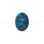 نگین فیروزه شجری کد 12007