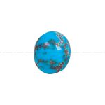 نگین فیروزه شجری کد 12014