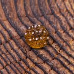 نگین کوارتز کد 11202