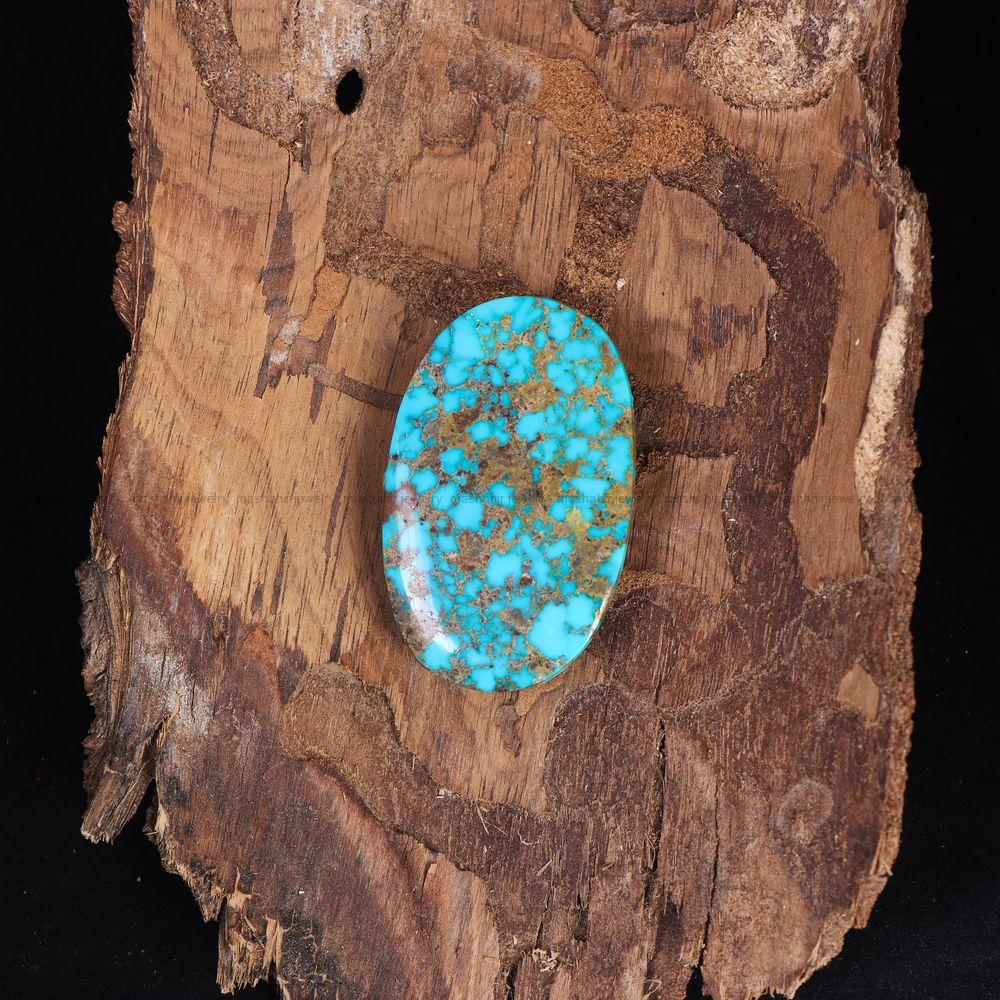 نگین فیروزه شجری کد 11466