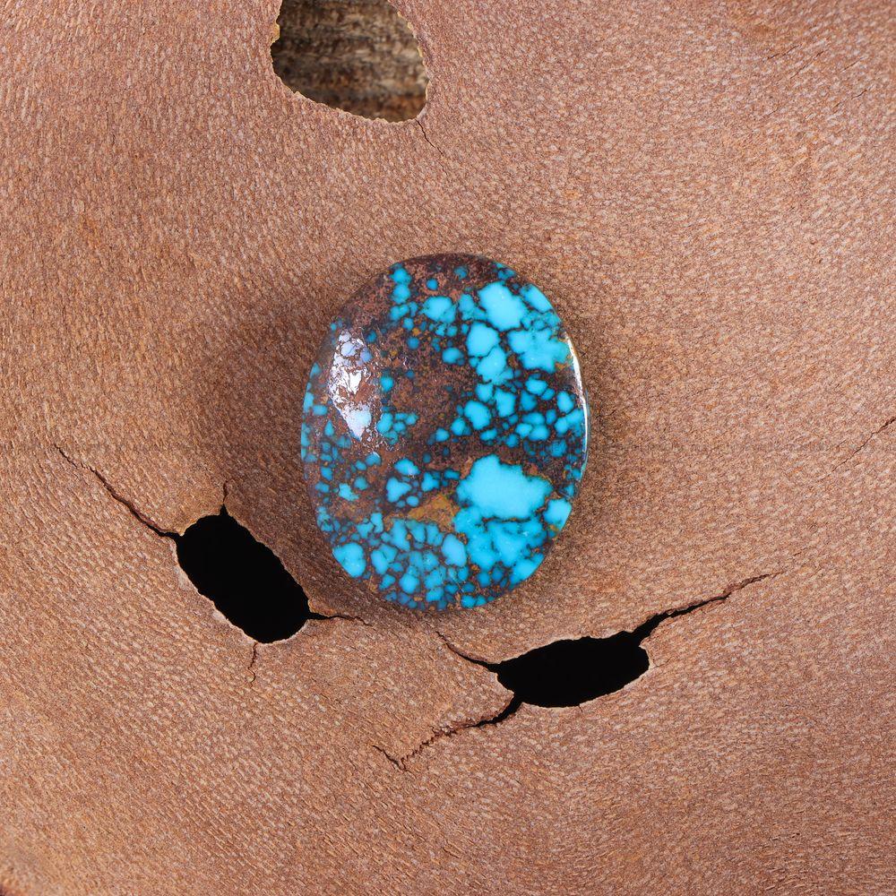 نگین فیروزه شجری کد 11488