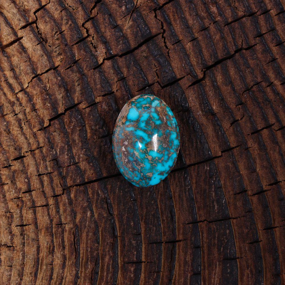 نگین فیروزه شجری کد 11533