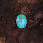 نگین فیروزه شجری کد 11578