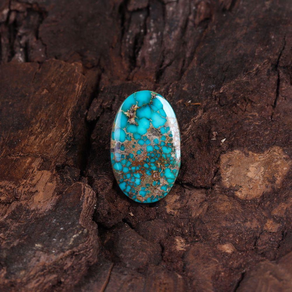 نگین فیروزه شجری کد 11581