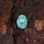 نگین فیروزه شجری کد 11592