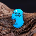 نگین فیروزه شجری کد 12008