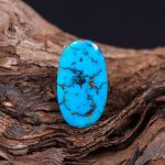 نگین فیروزه شجری کد 12009