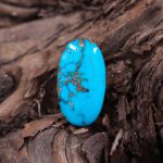 نگین فیروزه شجری کد 12012