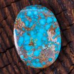 نگین فیروزه شجری کد 12605