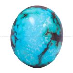 نگین فیروزه شجری کد 12577