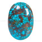 نگین فیروزه شجری کد 12581