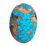 نگین فیروزه شجری کد 12588