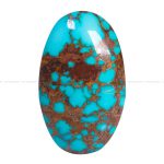 نگین فیروزه شجری کد 12597