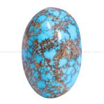 نگین فیروزه شجری کد 12601