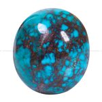 نگین فیروزه شجری کد 12611