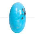 نگین فیروزه شجری کد 12612