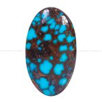 نگین فیروزه شجری کد 12617