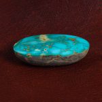 نگین فیروزه شجری کد 13856