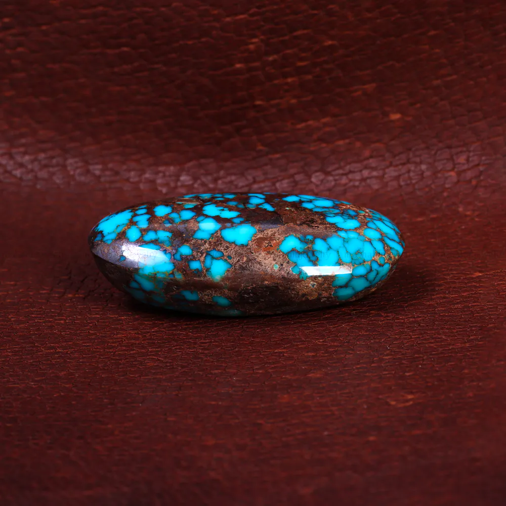 نگین فیروزه شجری کد 15189