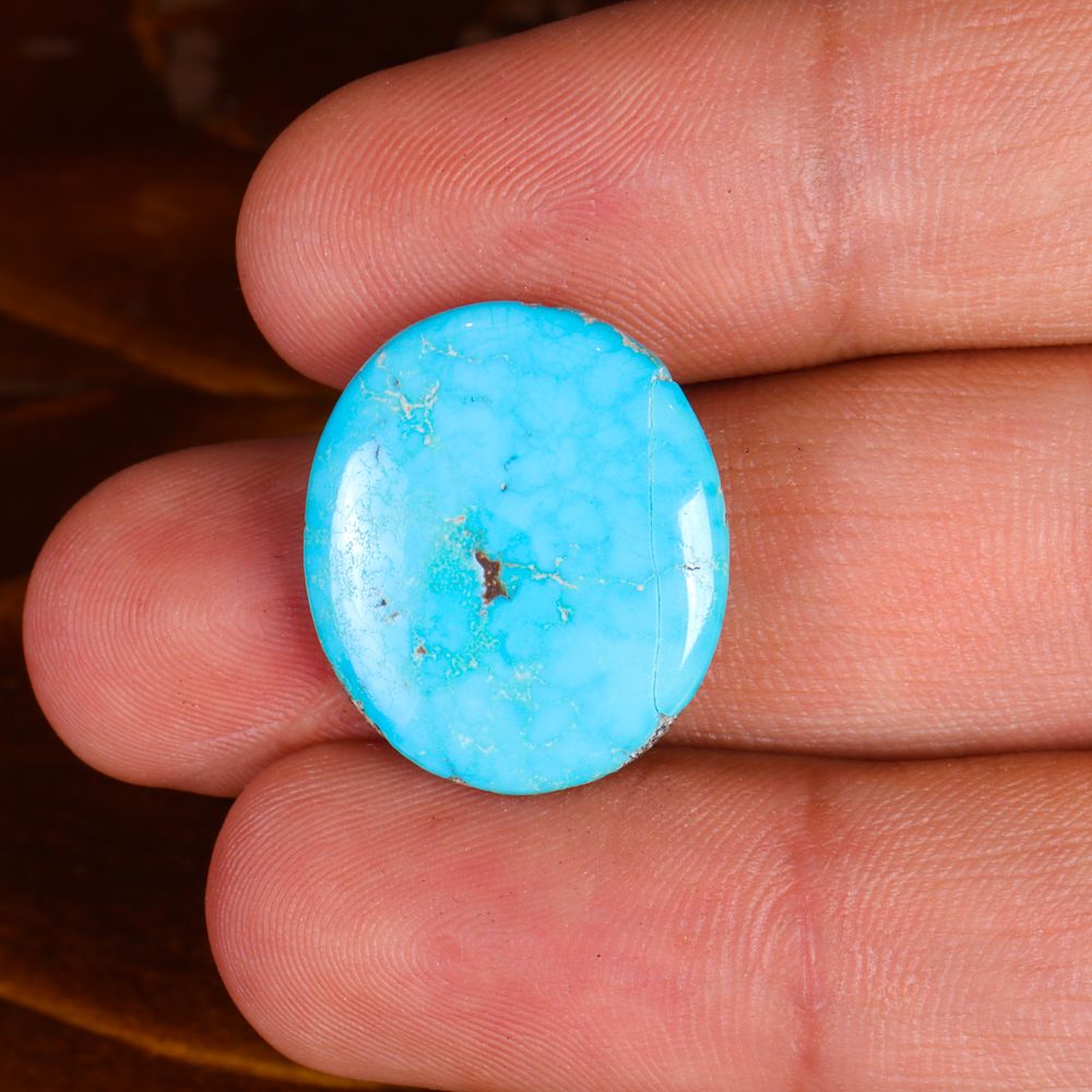 نگین فیروزه شجری کد 14507