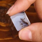 نگین عقیق شجر کد 21385