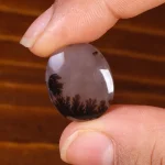 نگین عقیق شجر کد 21398