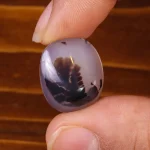 نگین عقیق شجر کد 21408