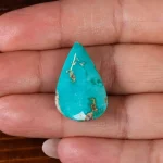 نگین فیروزه شجری کد 22502