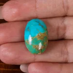 نگین فیروزه شجری کد 22541