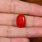 نگین مرجان کد 26877