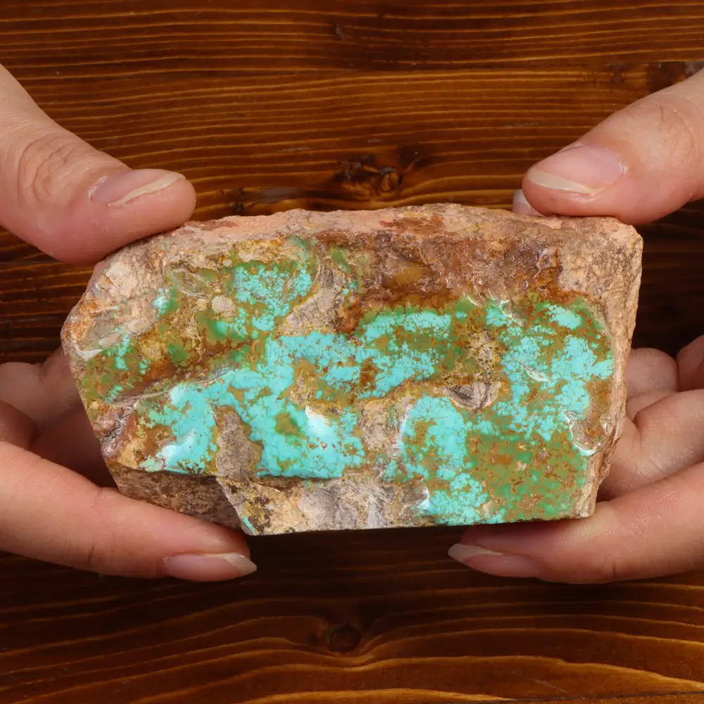 راف فیروزه نیشابوری کد 27179