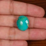 نگین فیروزه شجری کد 29019