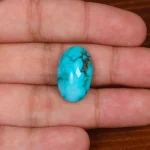 نگین فیروزه شجری کد 29040