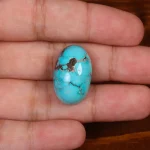 نگین فیروزه شجری کد 29068