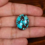 نگین فیروزه شجری کد 29111