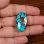 نگین فیروزه شجری کد 29113